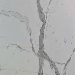 Calacatta White